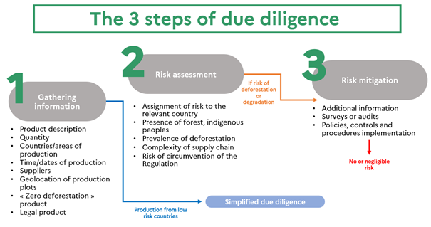 The 3 steps of due diligence